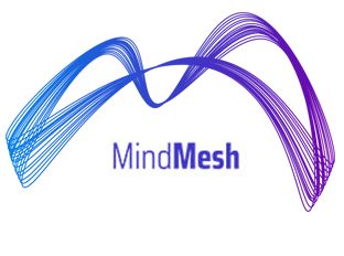 mind-mesh-new